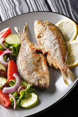 Delicious fried salpa fish with fresh vegetable salad close-up on a plate. horizontal
