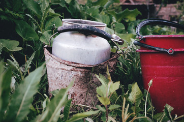 Obraz premium In the village garden two buckets