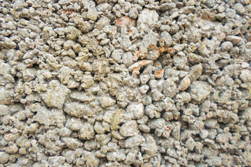 concrete wall background pattern. wall texture. image for background
