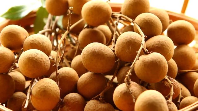 Close up Longan fruit , Chiangmai Thailand