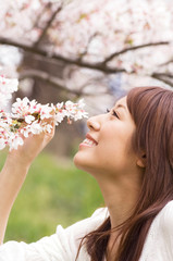 桜のにおいをかいでいる女性