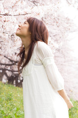 Naklejka premium 桜に顔を近づけている女性