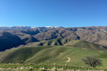 green rolling agricultural fields below the Southern Alps