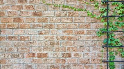old brick wall with green grass