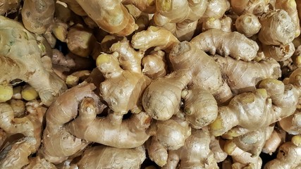 ginger in the market