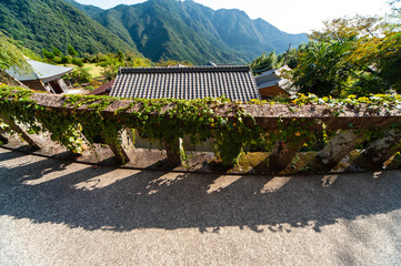 和歌山の神社への石段と民家の屋根