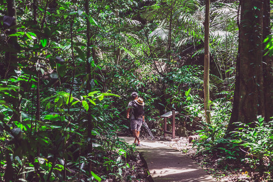 A man trekking travel pictures of nature on holidays. Nature Study in the forest. Hikers hiking in forest. Traveling along rain forest. man with a backpack traveling in a tropical forest.