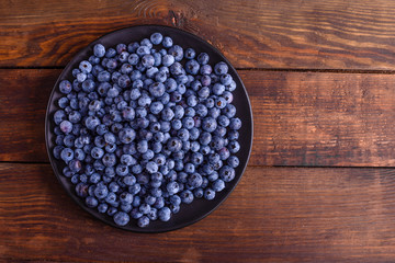 Blueberry antioxidant organic superfood in a bowl concept for healthy eating and nutrition