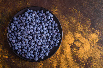 Blueberry antioxidant organic superfood in a bowl concept for healthy eating and nutrition