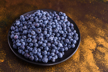 Blueberry antioxidant organic superfood in a bowl concept for healthy eating and nutrition
