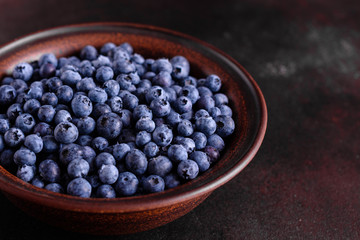 Blueberry antioxidant organic superfood in a bowl concept for healthy eating and nutrition