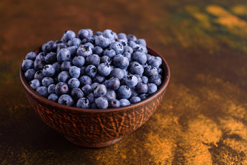 Blueberry antioxidant organic superfood in a bowl concept for healthy eating and nutrition