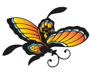 Butterfly abstract isolated on a white backgrounds, vector illustration