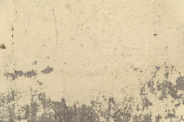 neutral color textured concrete wall