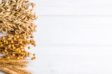 Dried ears of wheat, oats and other grains lie on a white background wood