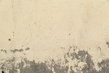 neutral color textured concrete wall