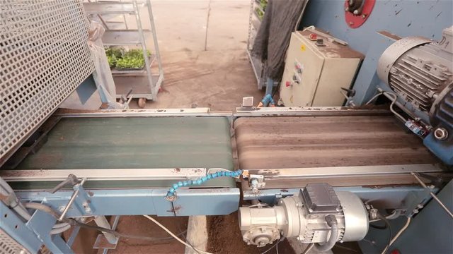 Automated line in the greenhouse for growing flowers. Automated line at the flower growing factory. Modern greenhouse. Automatic packaging at the enterprise
