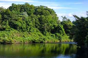 Fototapeta premium 日本 田園 風景