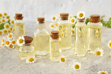 Bottles of essential oil with chamomile flowers on grey table