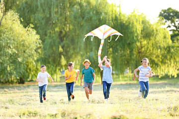 Obraz premium Children flying kite on summer day