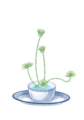 Illustration of lotus leaves, digital art.