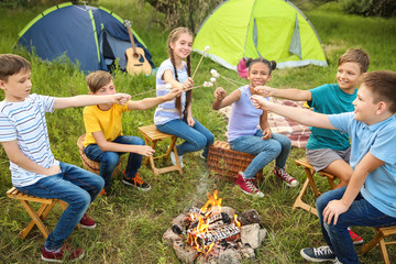 Children roasting marshmallow on fire at summer camp