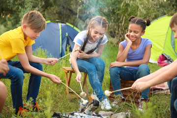 Naklejka na ściany i meble Children roasting mushrooms on fire at summer camp