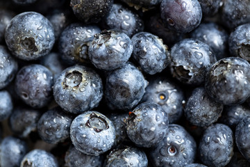 Background from freshly picked blueberries