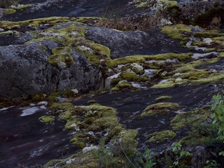 Moss on a rock face. Relief and texture of stone with patterns and moss. Stone natural background.