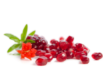 Parts of a pomegranate with pomegranate seeds and leaves, flowers isolated on white background