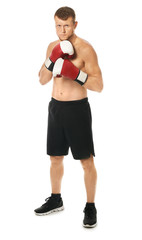 Strong male boxer on white background