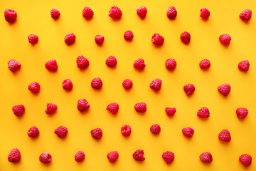 Many ripe raspberry on color background