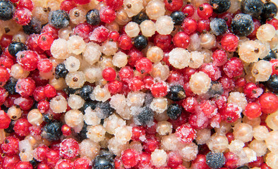 gezuckerte Johannisbeeren