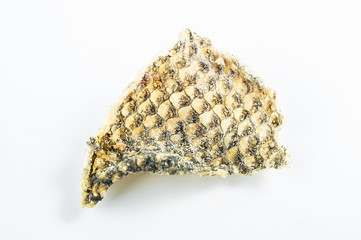 Traditional snack fish skin in Shunde, Foshan City, Guangdong Province, China