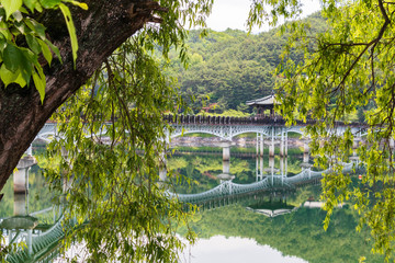 View on Moonlight Bridge, korean Woryeonggyo, and river Nakdong inside green pinewood landscape....