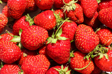Bunch of ripe red strawberries close up. Healthy eating background.