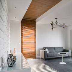 Modern home interior with sofa