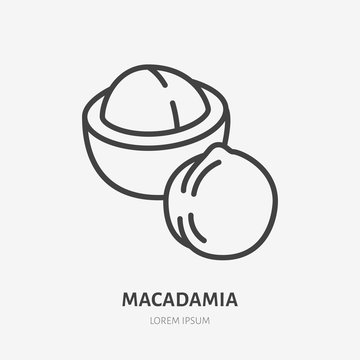 Macadamia Flat Line Icon. Vector Thin Sign Of Nut, Healthy Food Outline Illustration