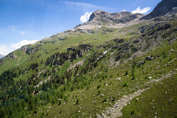 Green Alps in summer 