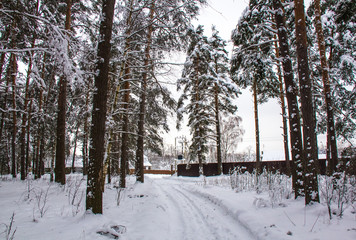 Winter trodden path through the forest to the village