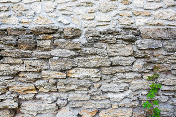 Stone wall texture background.