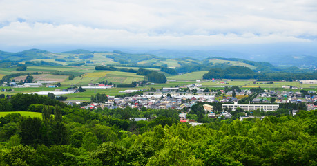 Fototapeta na wymiar Beautiful rural scenery at summer day