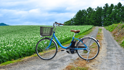 Fototapeta premium Bicycle on the road in front of the field farm