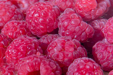 Fresh organic raspberries background closeup