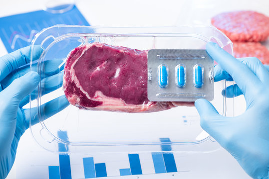 Vacuum packaged sealed meat and drugs pills pack in laboratory scientist hands. Livestock meat antibiotic and hormone use concept.