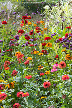 buntes herbstliches Blumenbeet im Westpark M&uuml;nchen, hochformat