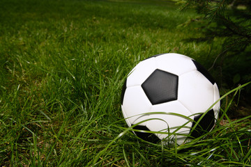 Fototapeta na wymiar Soccer ball, grass (field), sneakers (sports shoes). Sport, competition, development, game, hobby.
