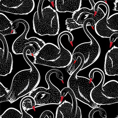 Stylish Black and white hand drawn pink swan doodle sketch seamless pattern on vector design for fashion ,fabric ,web, and all prints © MSNTY_STUDIOX