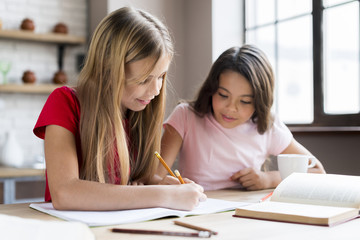Fototapeta premium Clever multiethnic girls doing homework together