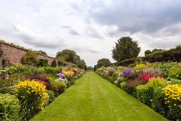 Double herbaceous borders with profusion of flowering perennial plants in the height of summer.